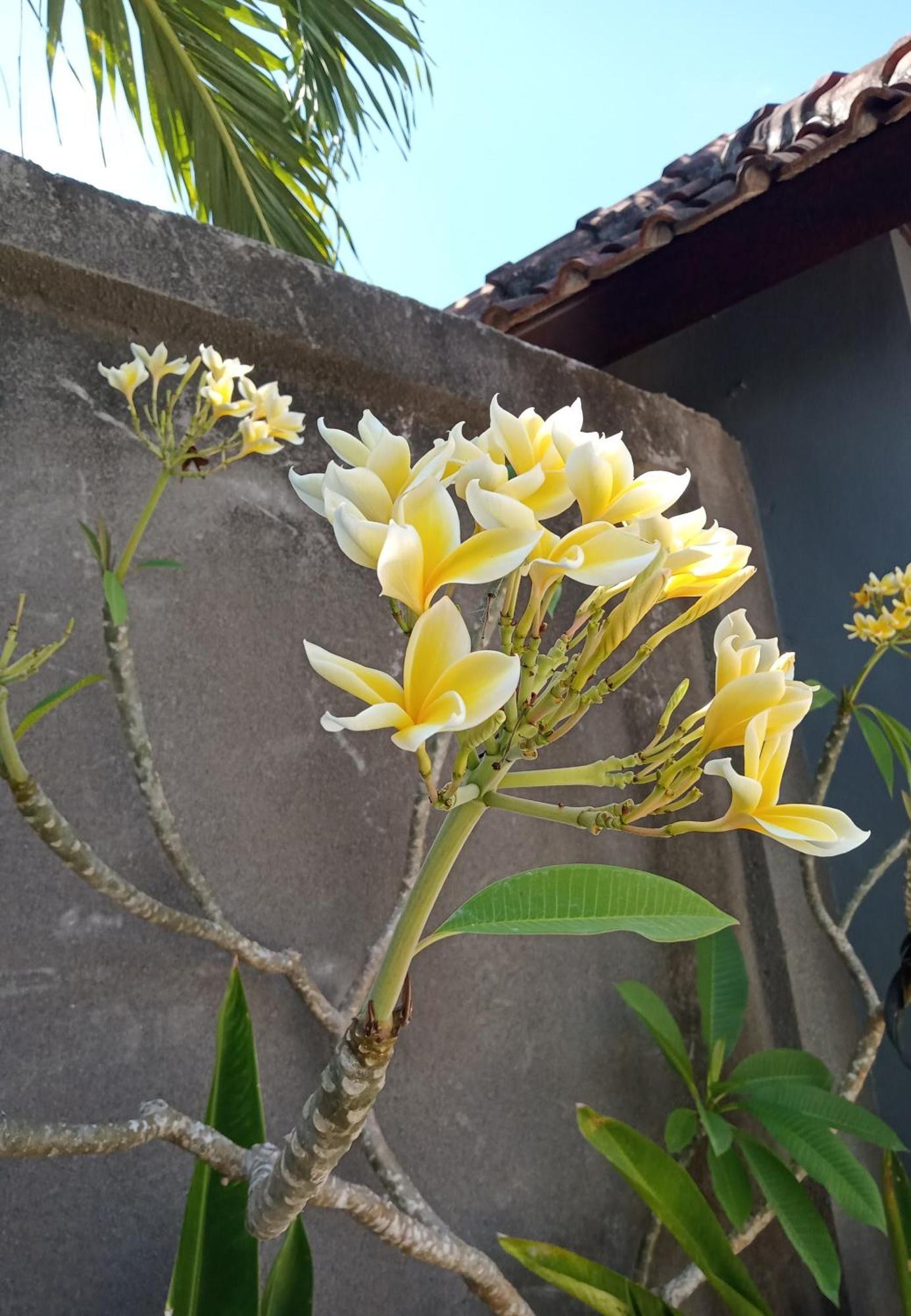 Parama Homestay Balangan Улувату Экстерьер фото